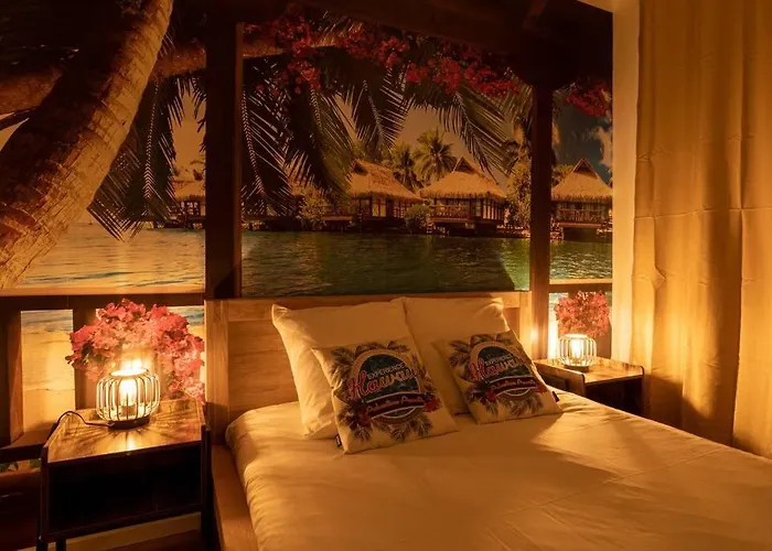 Hawai Wifi Hypercentre Arenes *